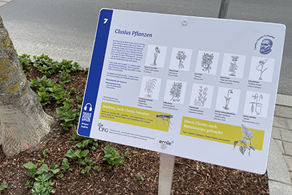 Schautafel Clusiuspfad