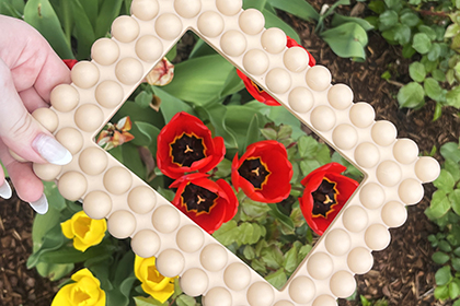 rote Tulpe in Rahmen