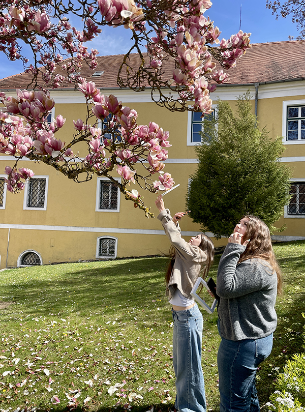 Schülerinnen unter Magnolienbaum