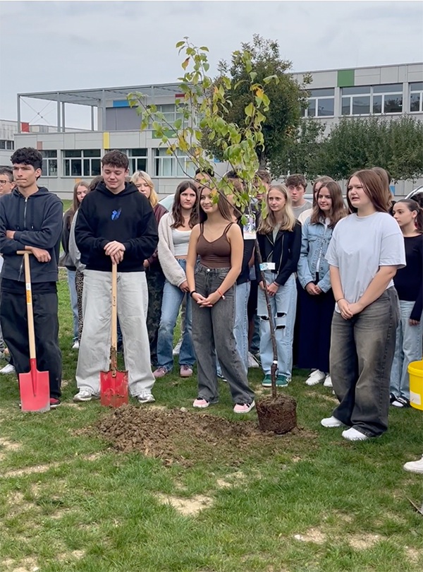 Schüler vor Schule pflanzen Bäume