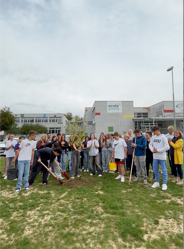 Schüler vor Schule pflanzen Bäume