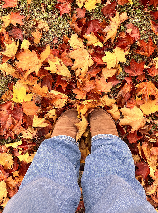 Jeanhosenbeine in buntem Laub