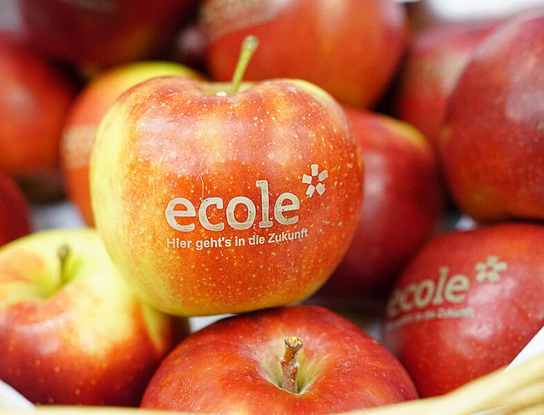 Apfel mit ecole Logo